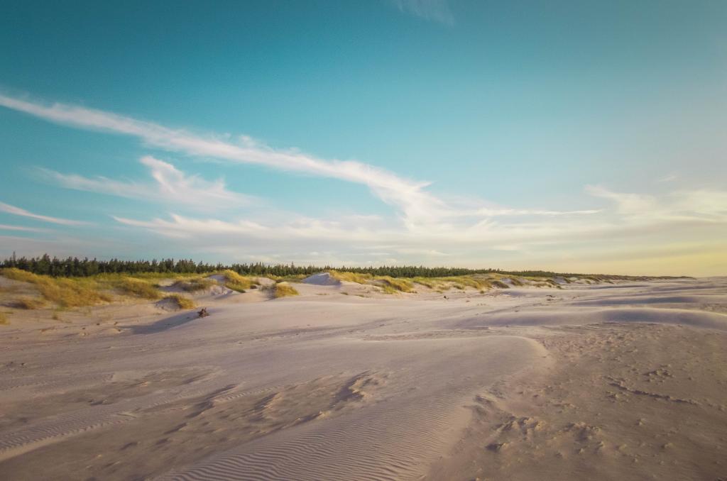 W pierwszym planie rozciąga się piaszczysta plaża z niewielkimi wydmami. W dalszym planie widać linię wody i niebo z lekkim zachmurzeniem.